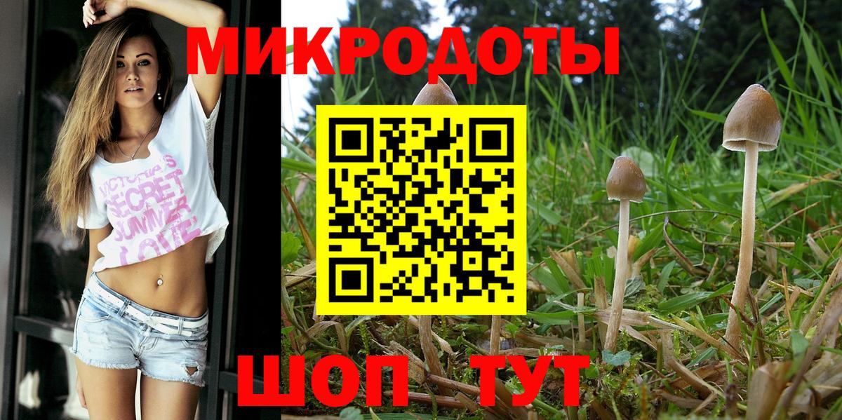 Галлюциногенные грибы Psilocybe Биробиджан