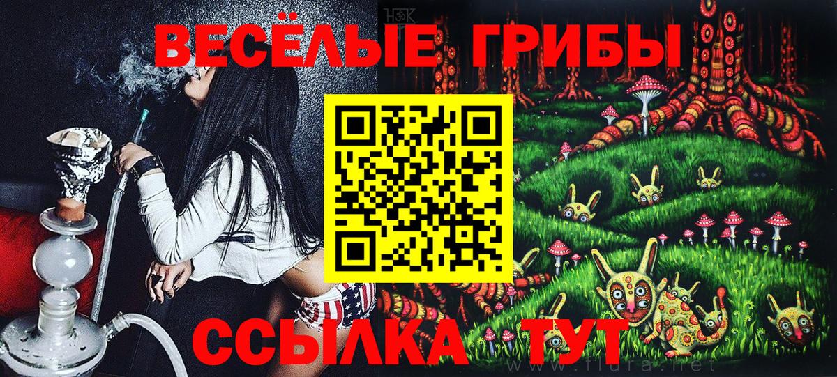 Галлюциногенные грибы мицелий  Вход с VPN  Биробиджан  Псилоцибиновые грибы GOLDEN TEACHER 